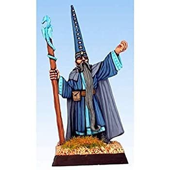 Darius the Blue - Male Wizard w/Staff (02578)