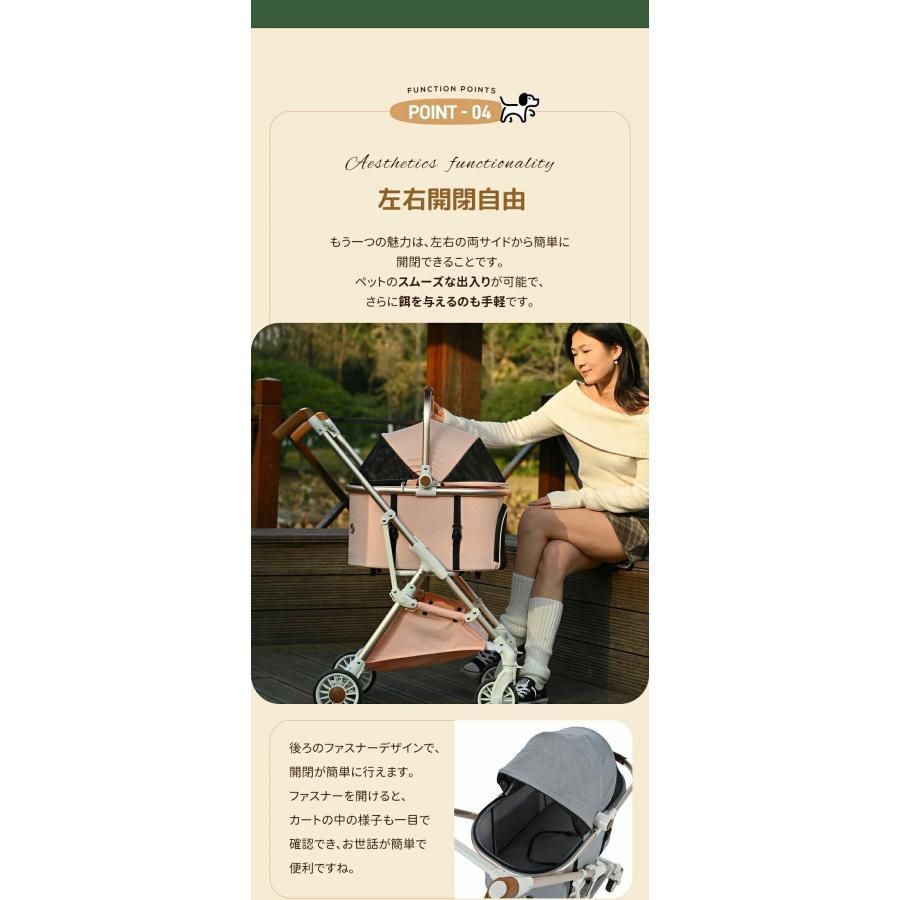 中型犬 多頭