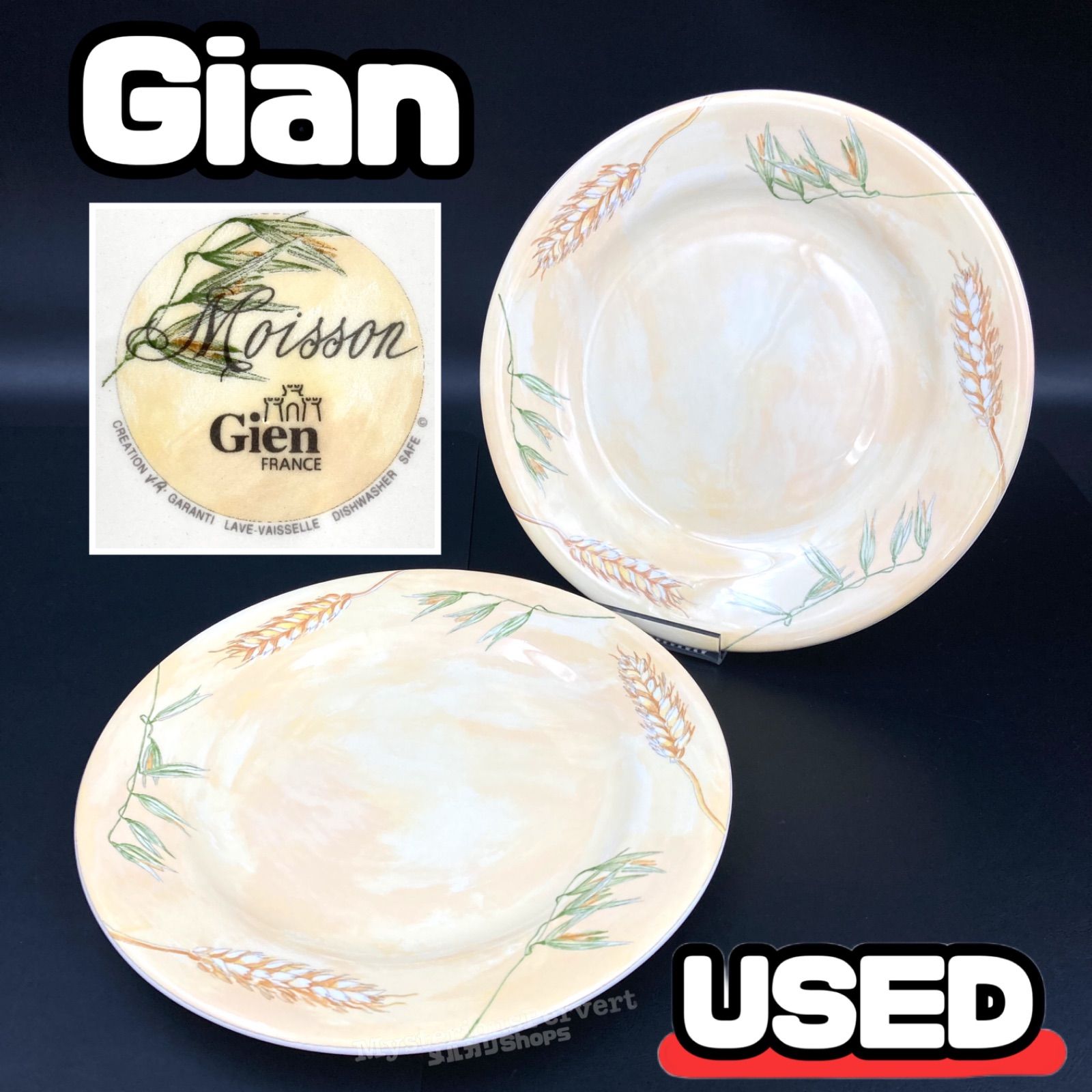 フランス　Gian  プレート皿