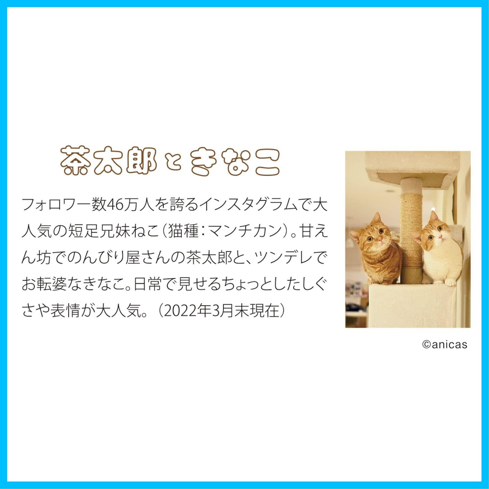 特価セール】学研ステイフル 茶太郎ときなこ 2023年 カレンダー