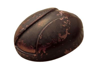 タレント ポリカーボネイトチョコレートモールド MA1637