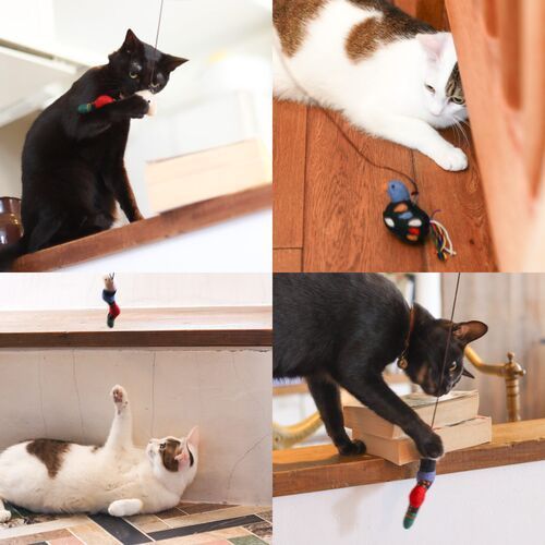 オーダー確認用☆黒猫ちゃんと猫じゃらしセット