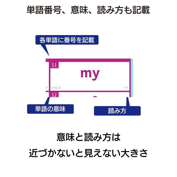 LearnEASY サイトワード入門 MY SIGHT WORD 300 ポスター５枚 発音CD付き 厳選300ワード