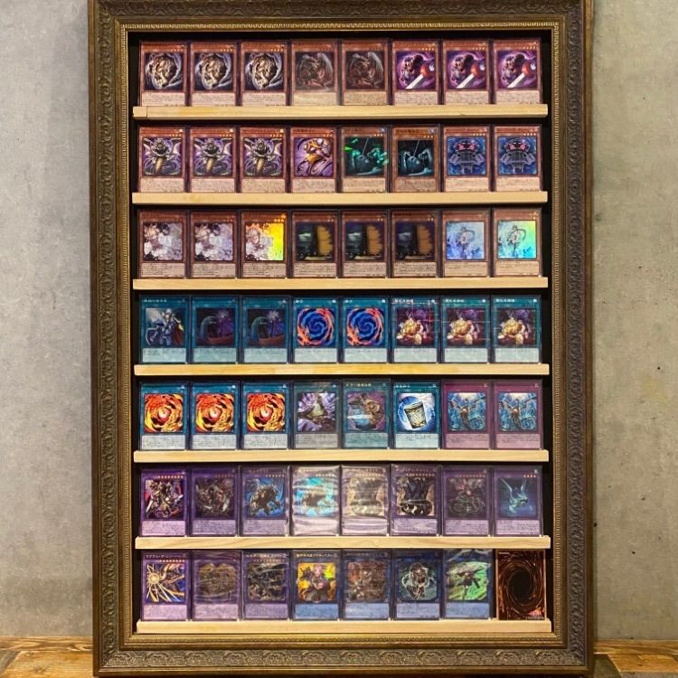 大会向け キマイラ 構築済みデッキ 遊戯王 フィールドコア