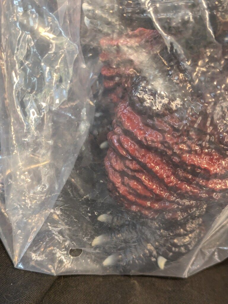 安楽安作 ゴジラ 1954 シークレット ソフビ グリッター メディコムトイ 安楽安作 ゴジラ 1954 シークレット ソフビ グリッター