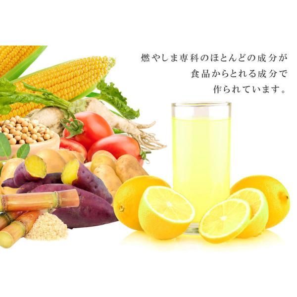 送料無料 燃やしま専科 レモン風味 500g入 4袋セット クエン酸 
