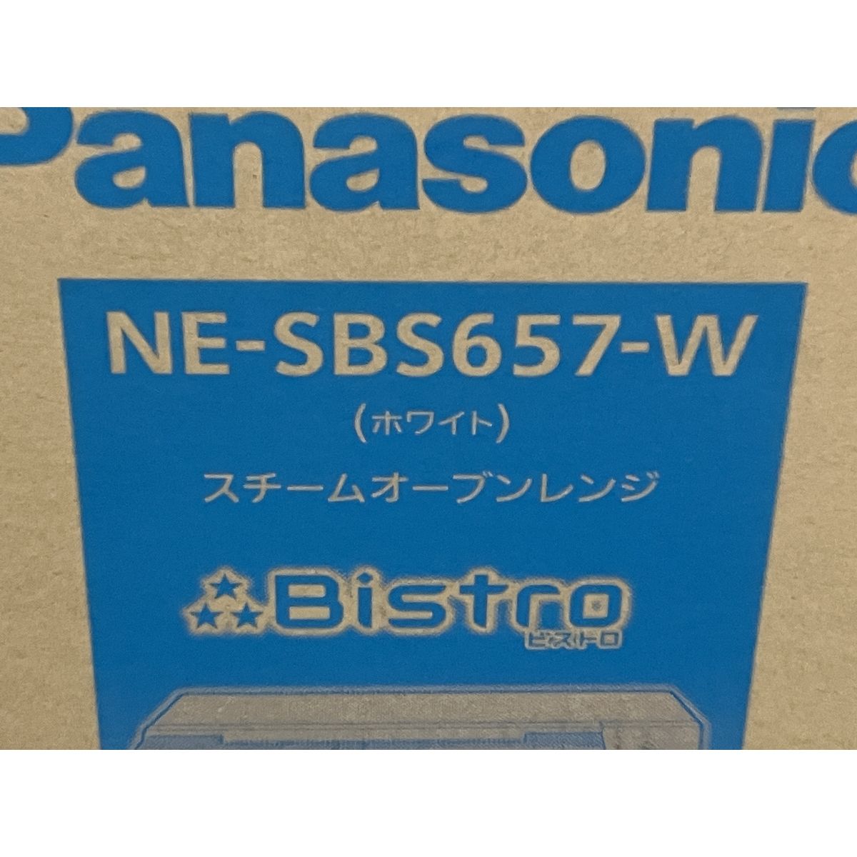 Panasonic