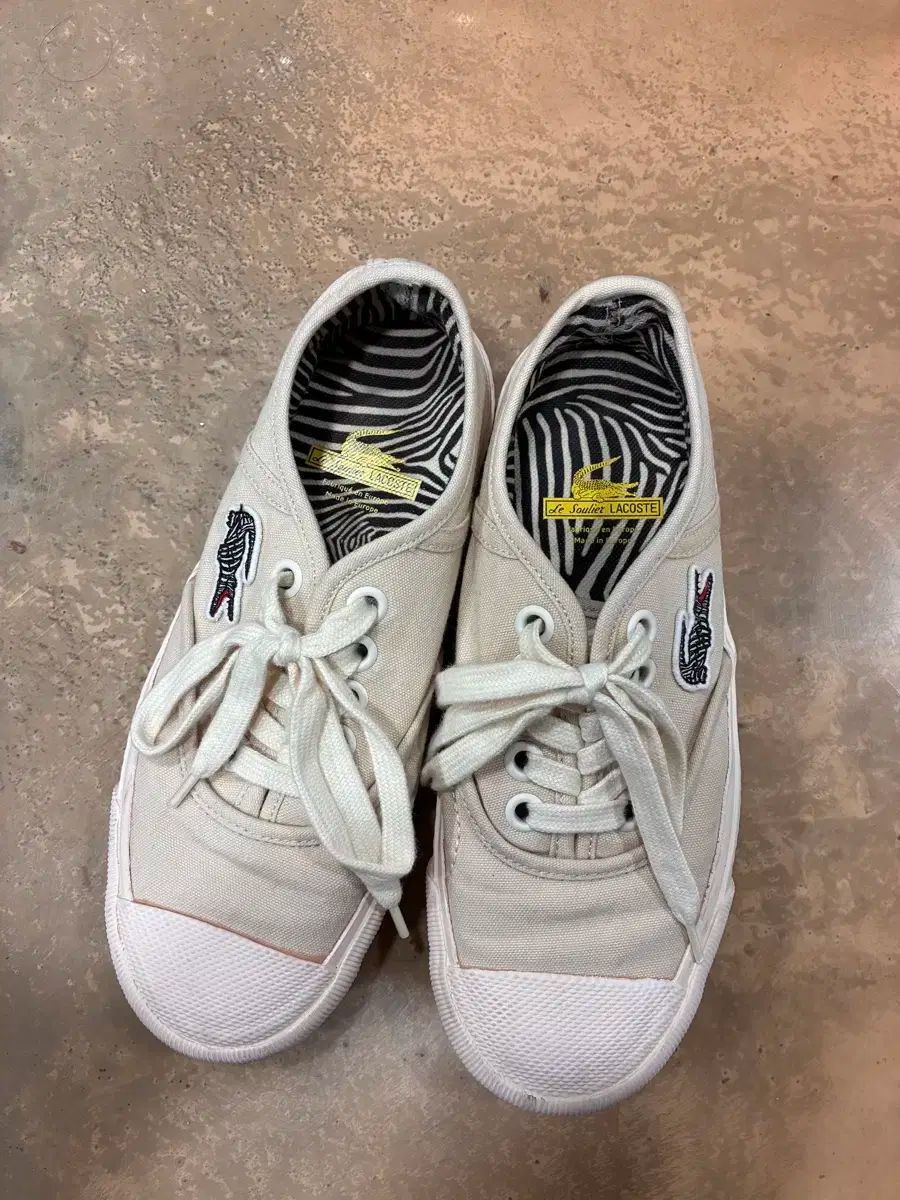 LACOSTE ラコステ レディース 靴