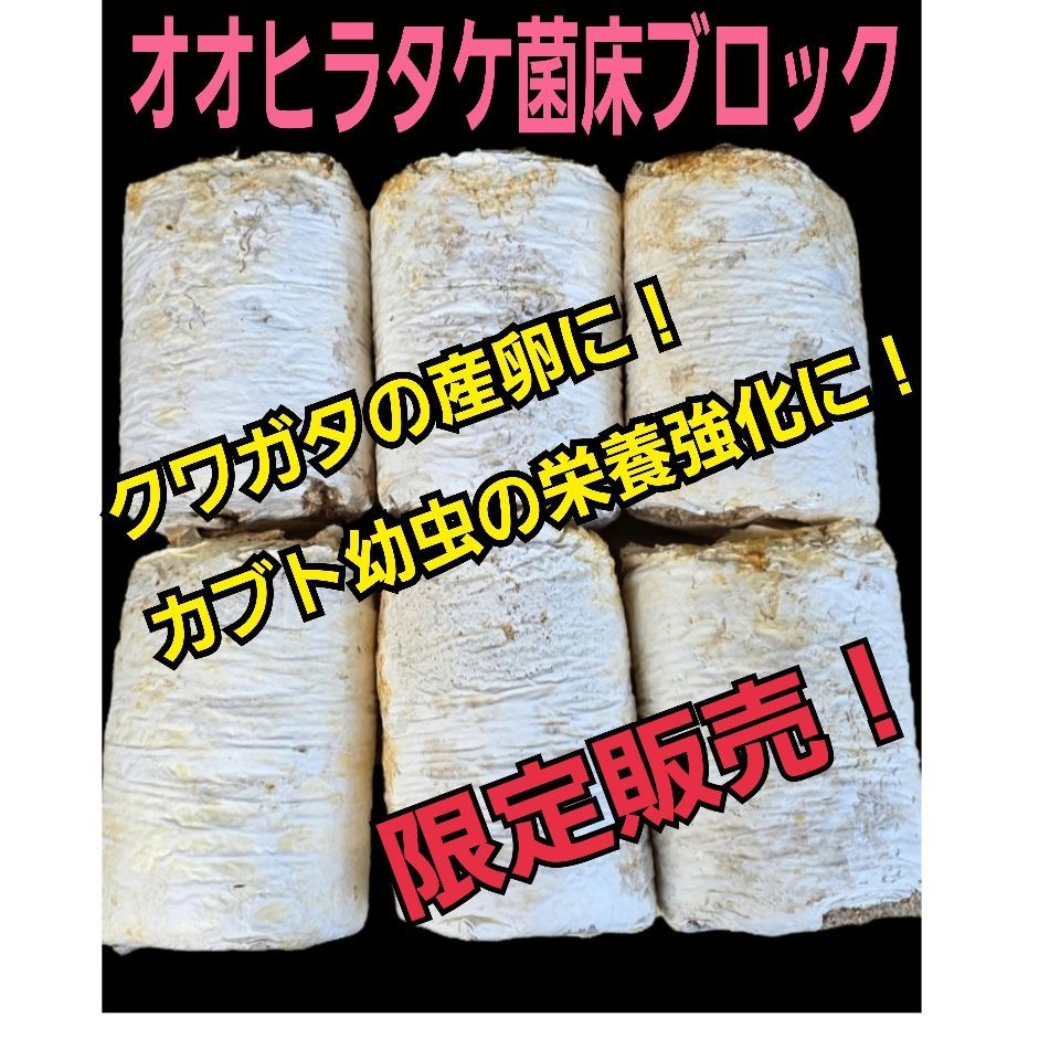 昆虫用品 カブトムシ幼虫の栄養強化に！マットに埋めるだけ