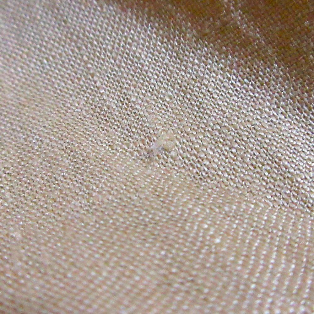 24SS
