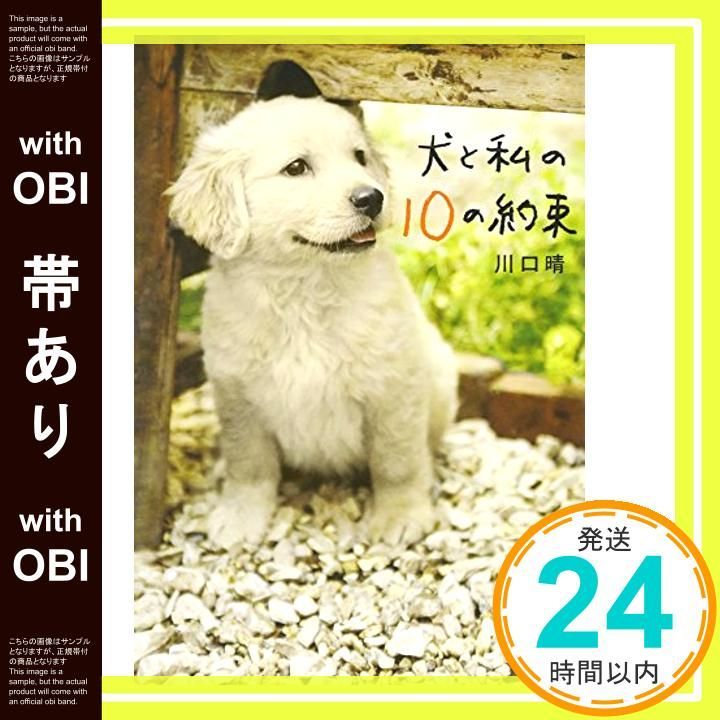 帯あり 犬と私の10の約束 Jul 28 2007 川口 晴_07