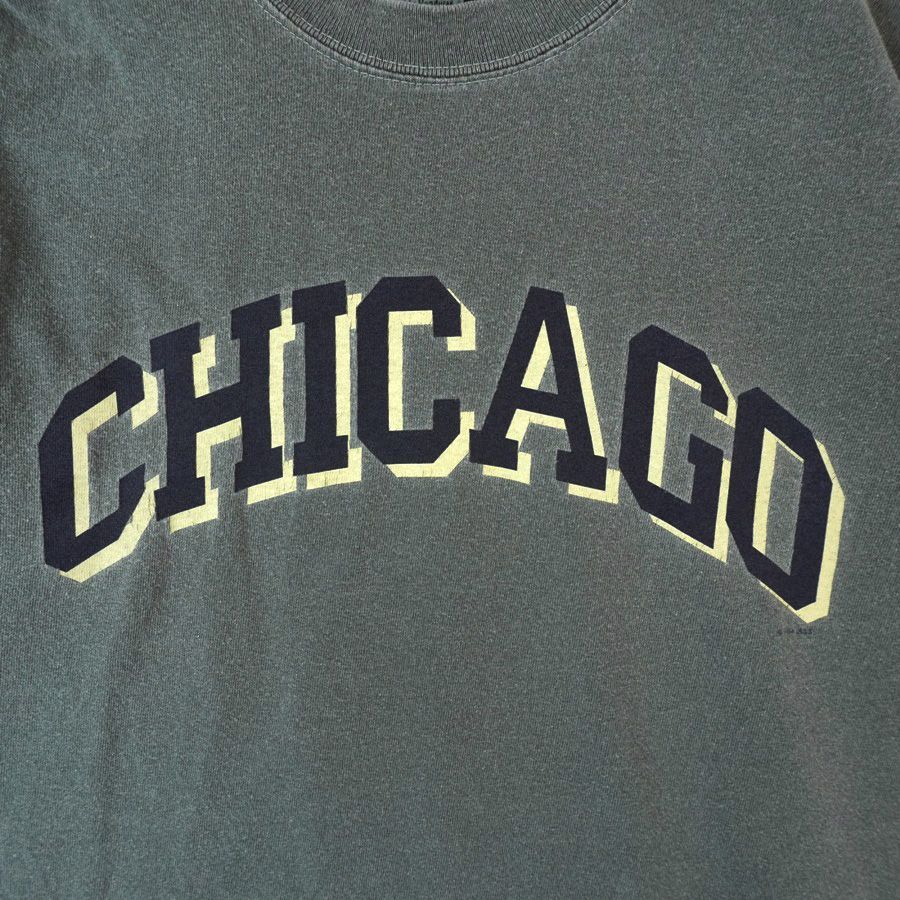 レア！ブタ刺繍タグ！90sアンビルAnvil半袖TシャツChicagoシカゴ