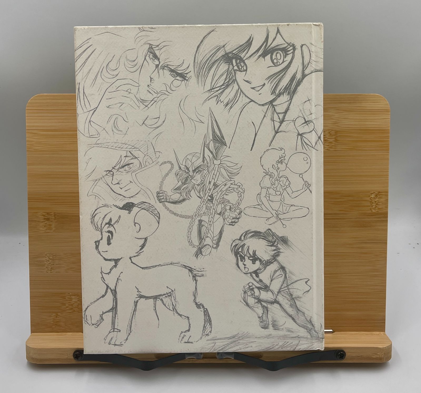 荒木伸吾　回顧展　図録　画集　瞳と魂　2012年11月14日発行　貴重 荒木伸吾 回顧展 図録 画集 瞳と魂 2012年11月14日発行 貴重