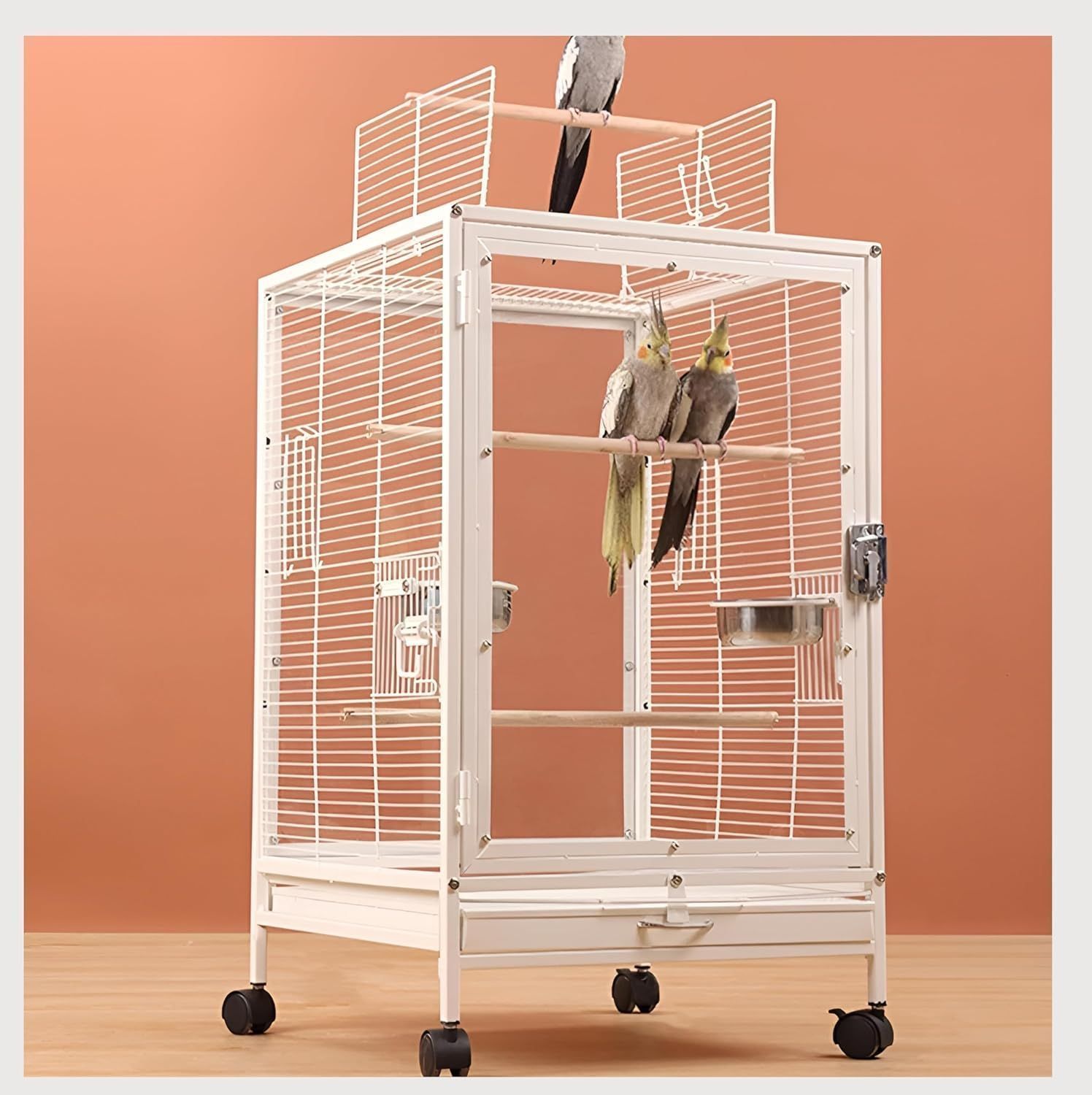 訳あり！アクリルケージ 360度 小動物 鳥 モモンガ バードケージ