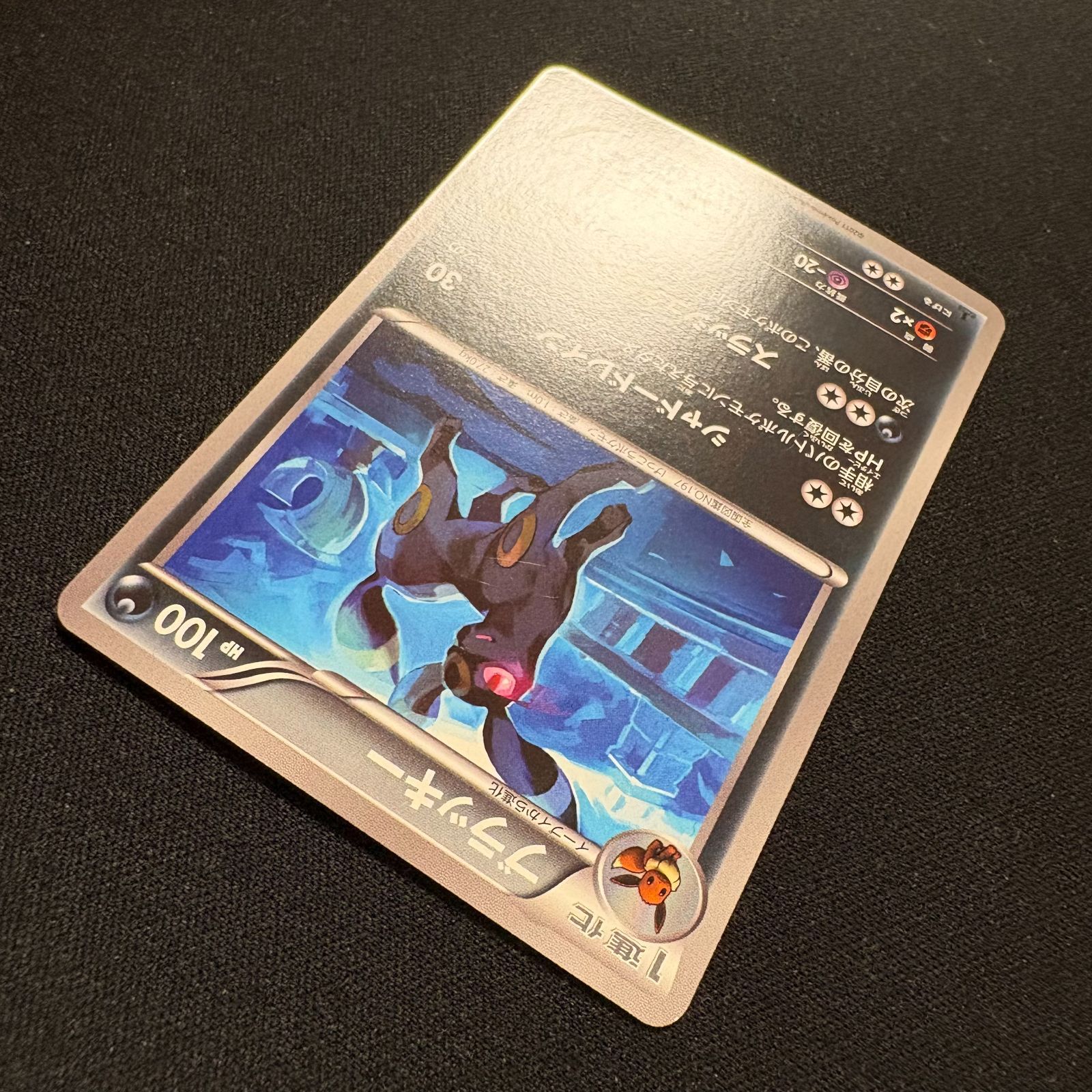 ポケモンカード　BW8　031/051　R　ブラッキー　PSA9 031/051 プラズマ団 ブラッキー PSA9 PSA9】ブラッキー R BW8