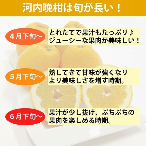 みかん 果物