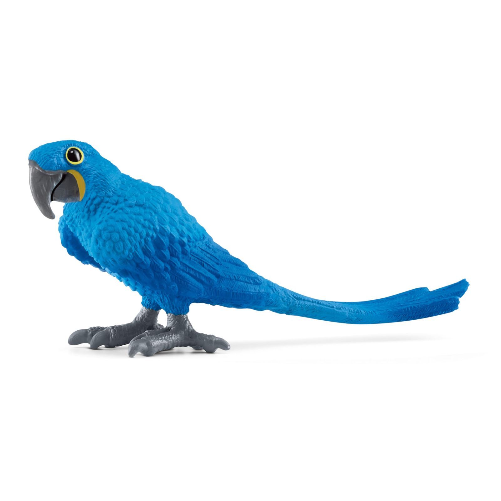 数量限定】14859 スミレコンゴウインコ ワイルドライフ