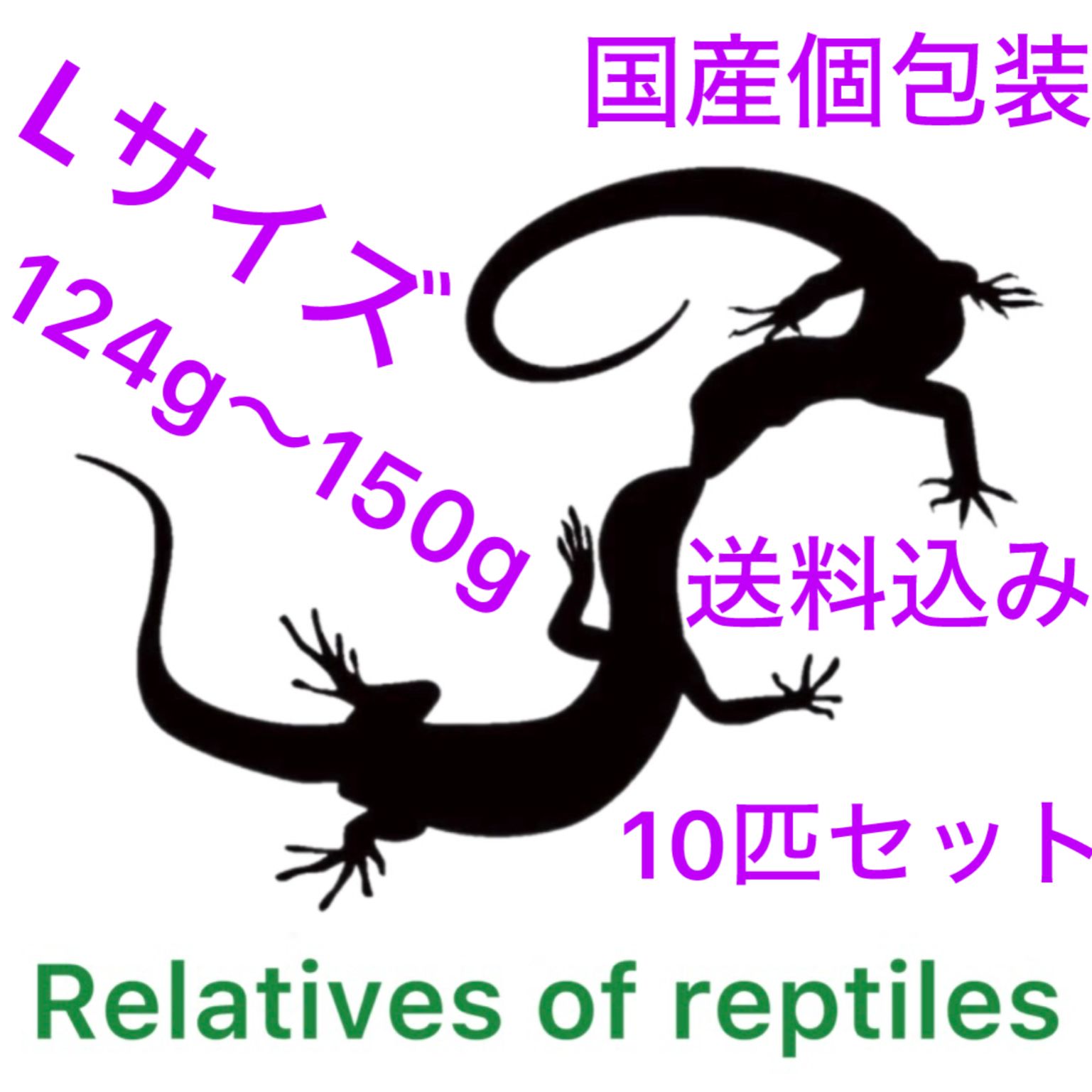 冷凍ラット 43g前後 300匹セット
