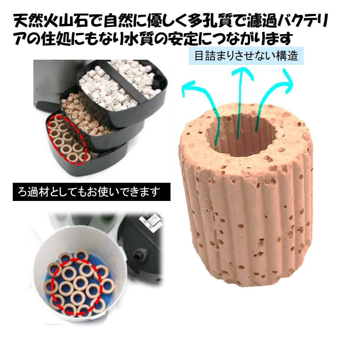 金魚 アクアリウム内装