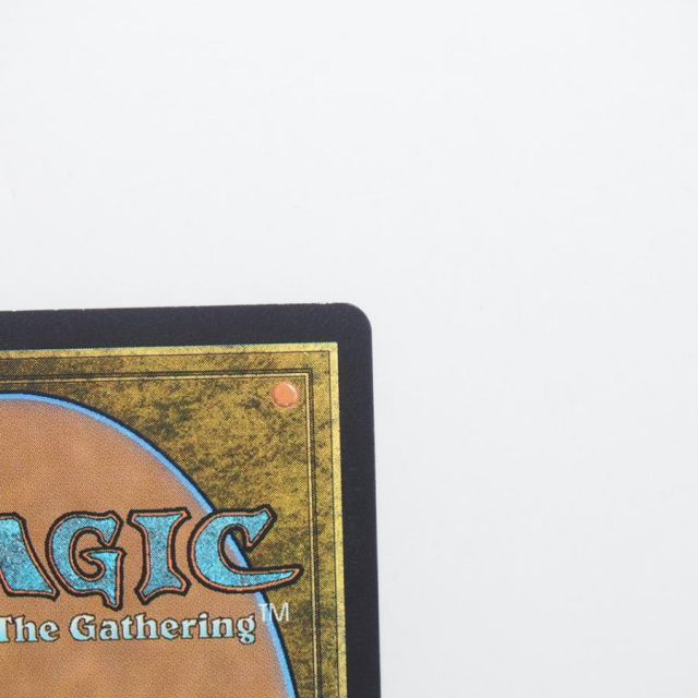 mtg 新緑の地下墓地ドラゴンスケイルfoil1枚 ドラゴンスケイル・Foil】(118)□ボーダーレス□《新緑の地下