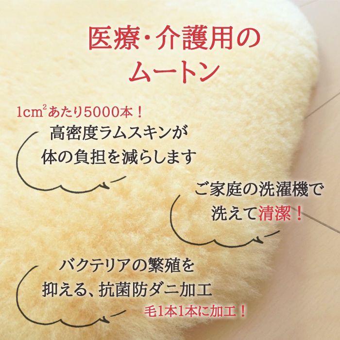 ベルト部