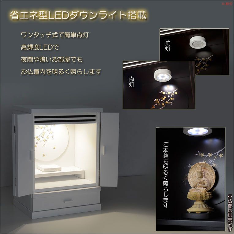 桜蝶 さくらちょう