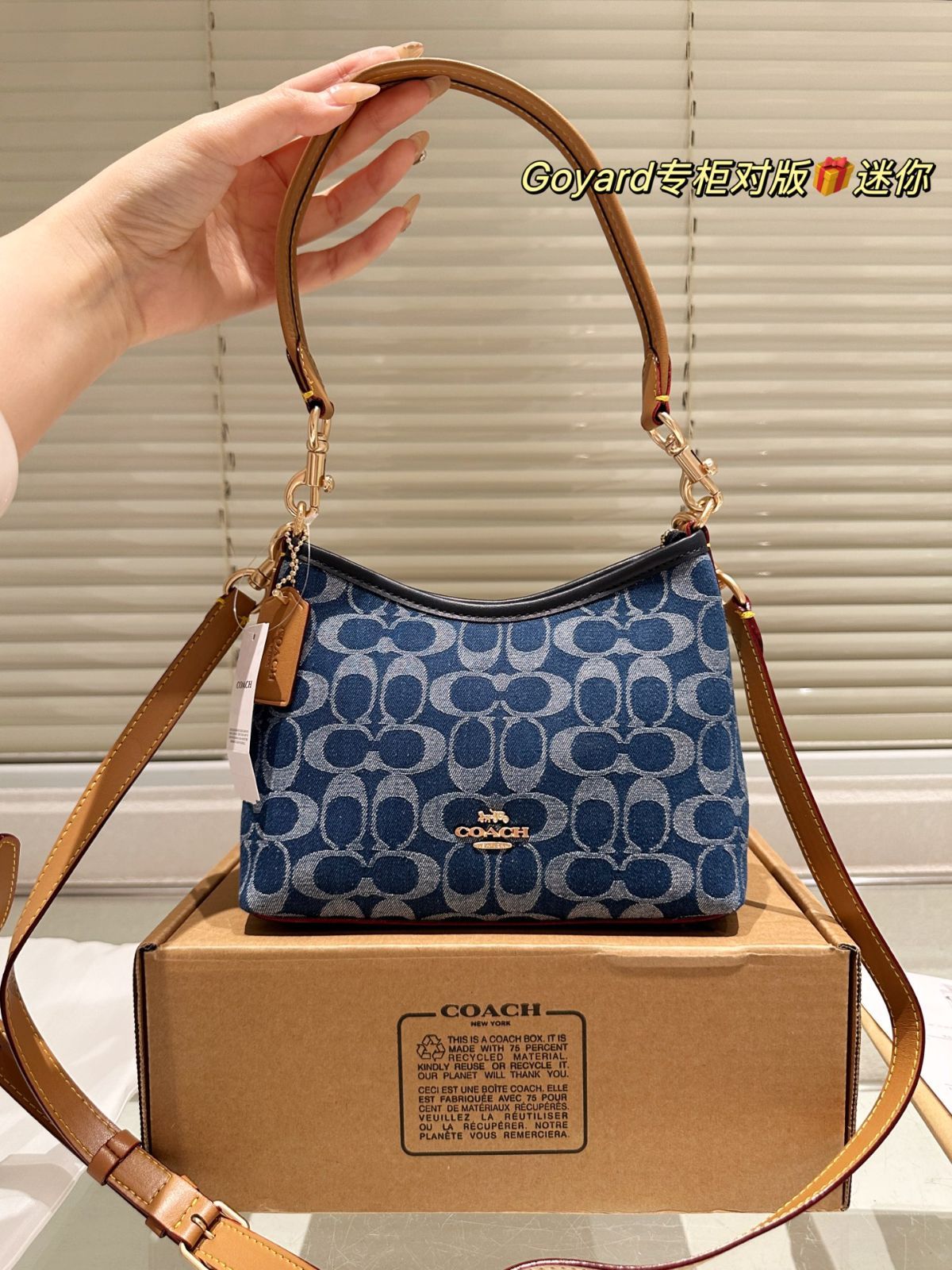 今日 COACH Mini Rogue Bag クーチ ミニ ローグ バッグ -WT0輸入