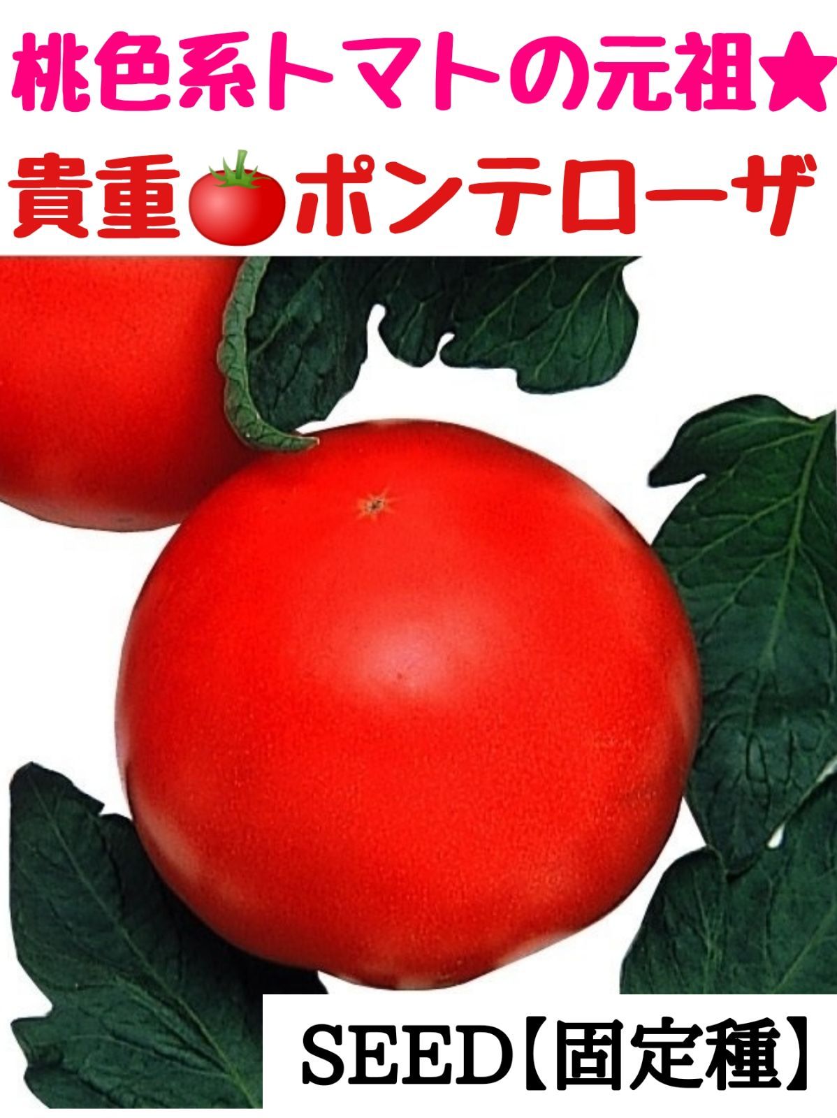 メルカリshops 桃色系トマトの元祖 ポンテローザの種 固定種 ポンデローザ
