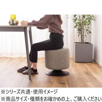 東谷 ローテ