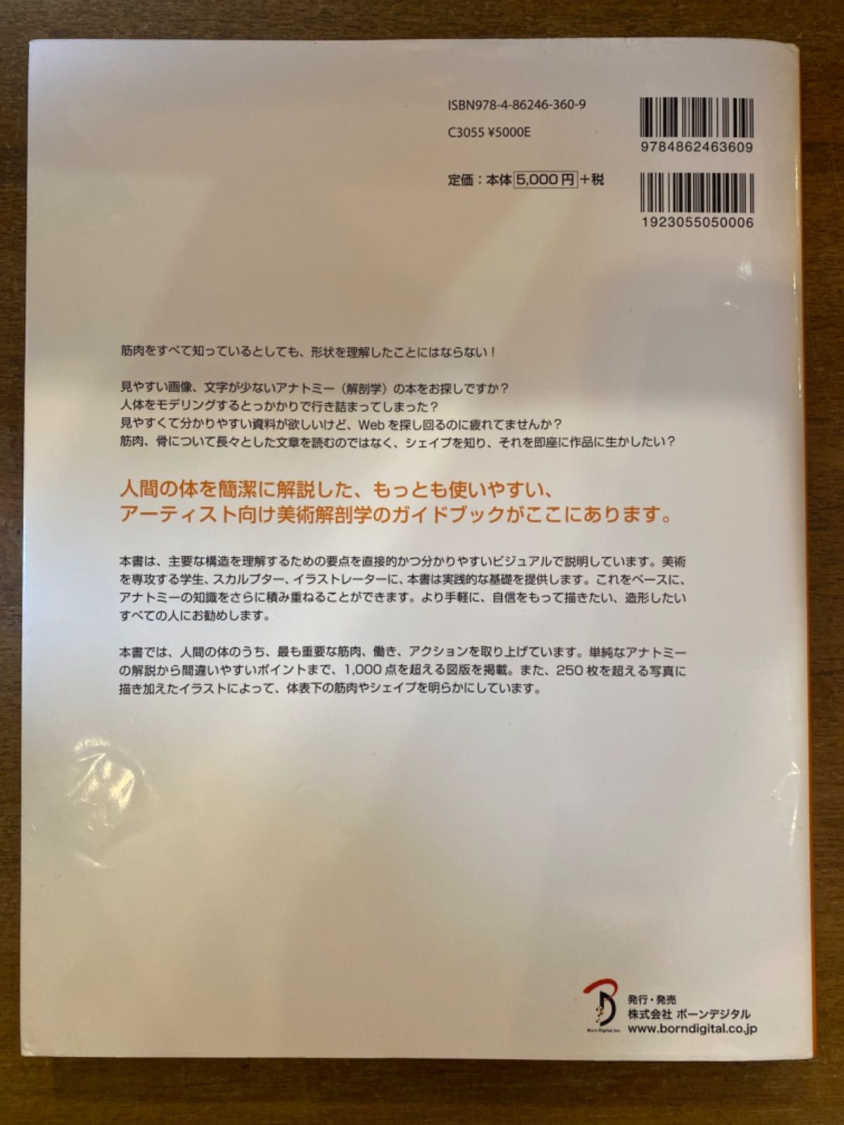 2表情編 アルディス