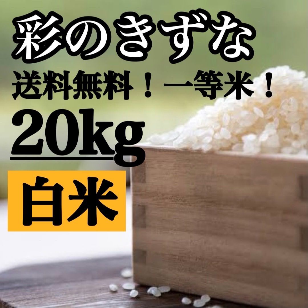 白米20kg 彩のきずな新米埼玉県産令和5年産送料無料米20キロ