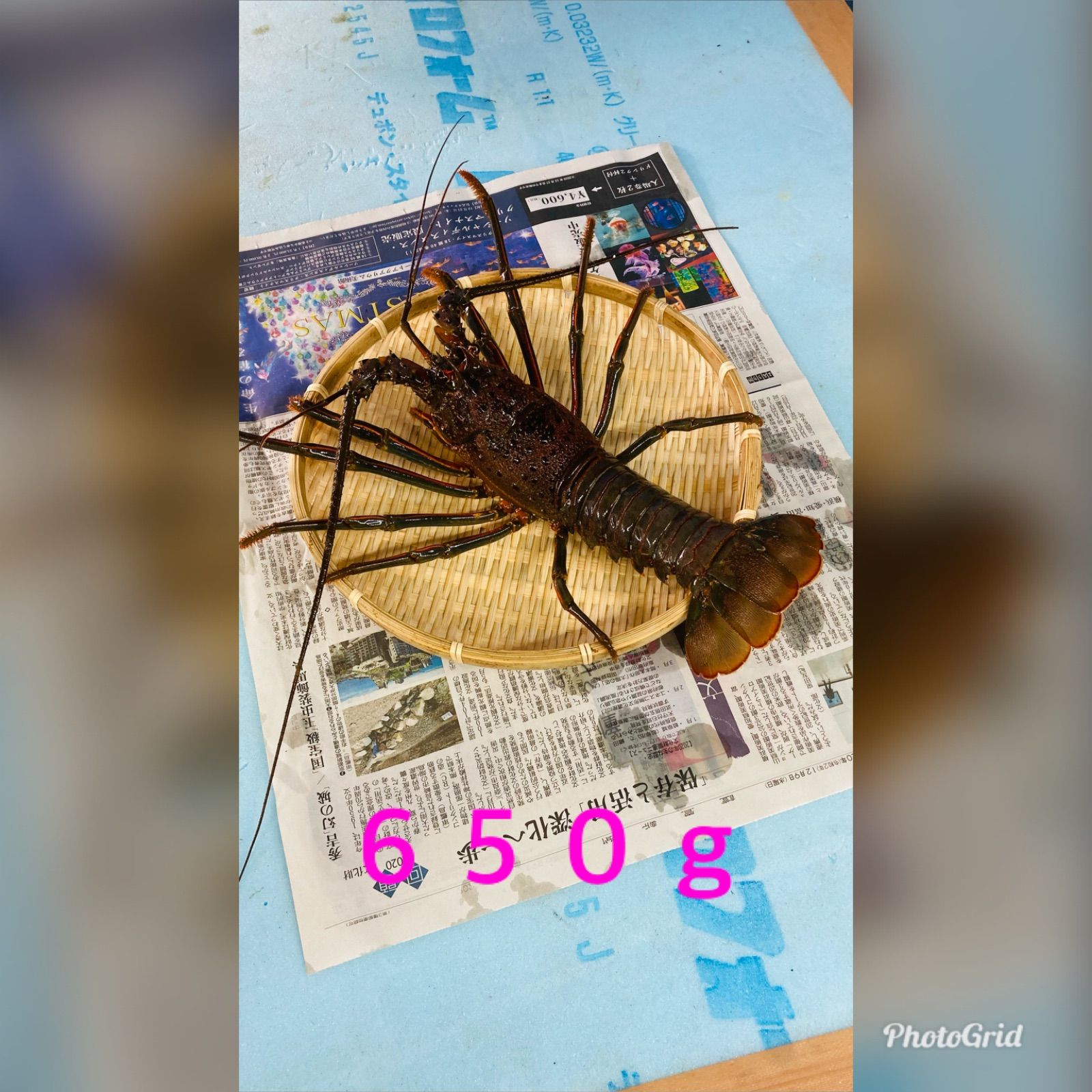 大1キロ