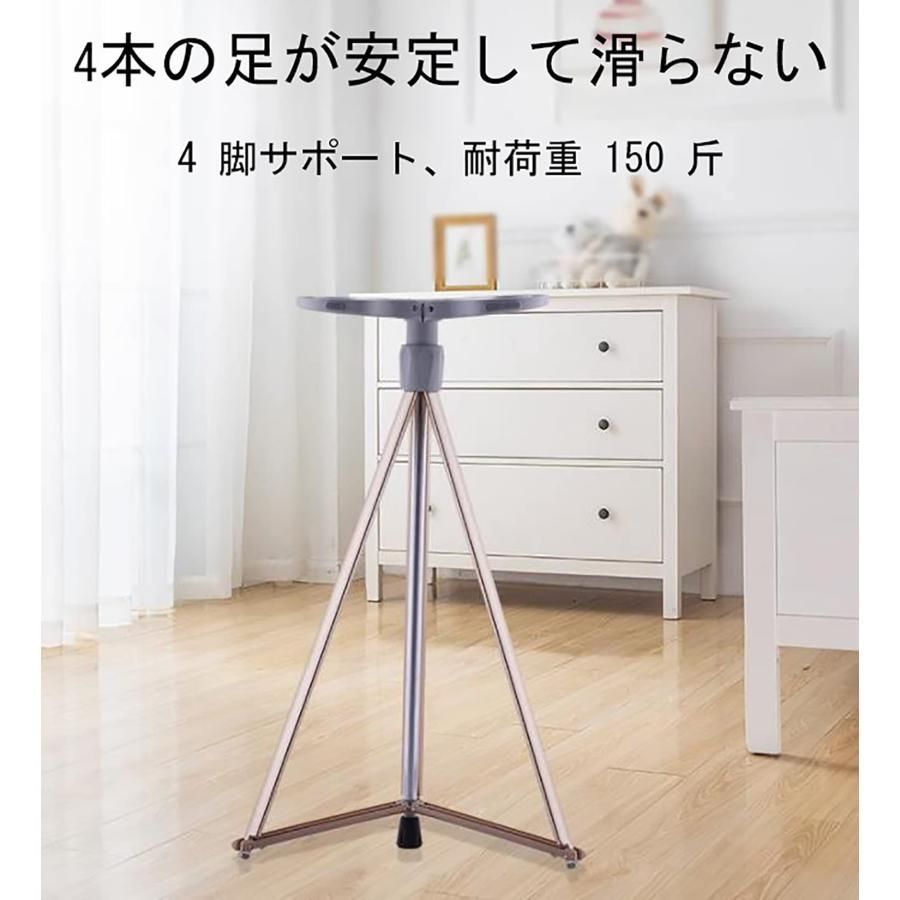 杖