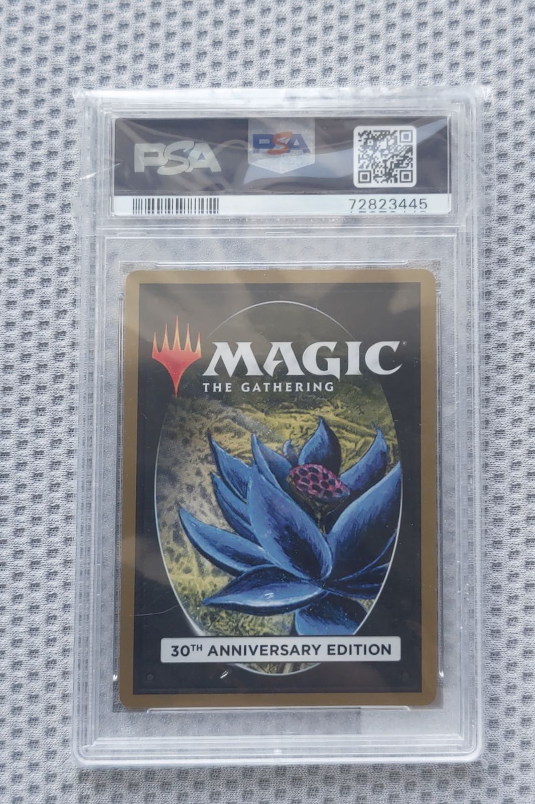 MTG マジックザギャザリング 30th Anniversary Edition 30A Kudzu 英 新枠