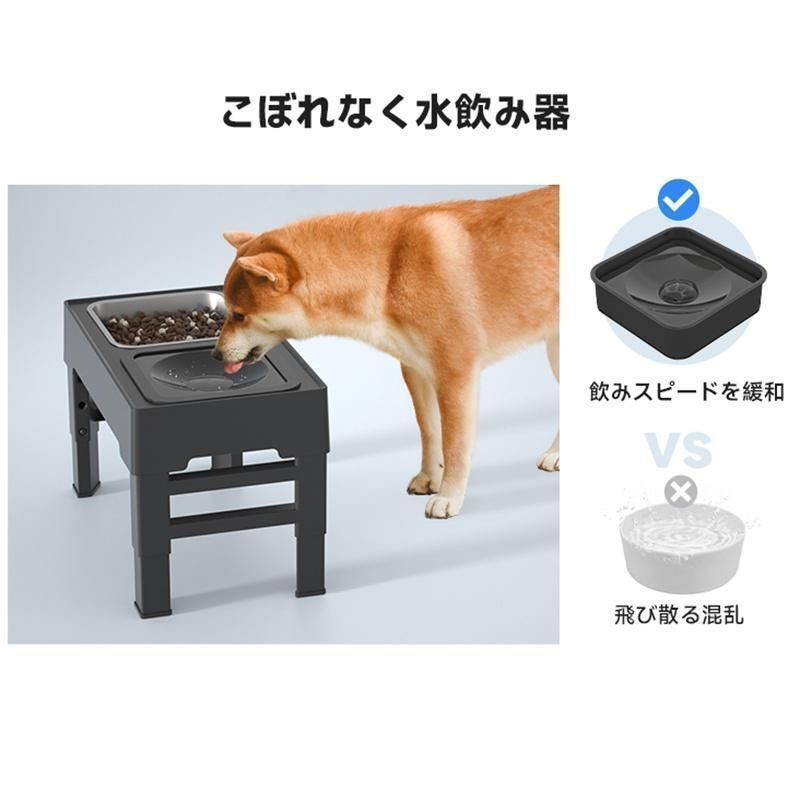犬