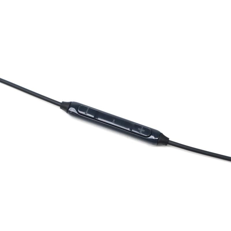 final Heaven V Aging 有線 イヤホン 本体・ケースのみ final Heaven V