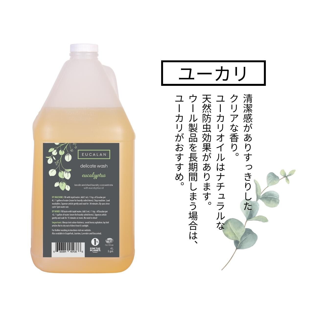 ジャスミン