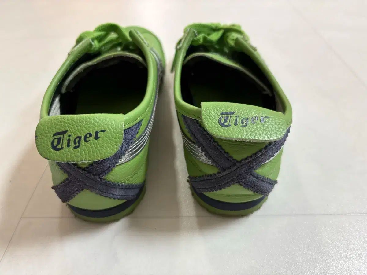 グリーン シルバー