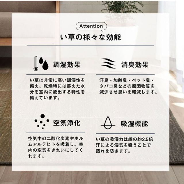 ラグ 小林製薬 持続性抗菌剤 KOBA-GUARD 制菌 抗菌防臭  滑り止め 不織布 夏 い草 グラデーション ブルー 約190×300cm【ブルー】【代引不可】 イケヒコ・コーポレーション 1070480041103 ラグ マット 小林製薬 ラグ