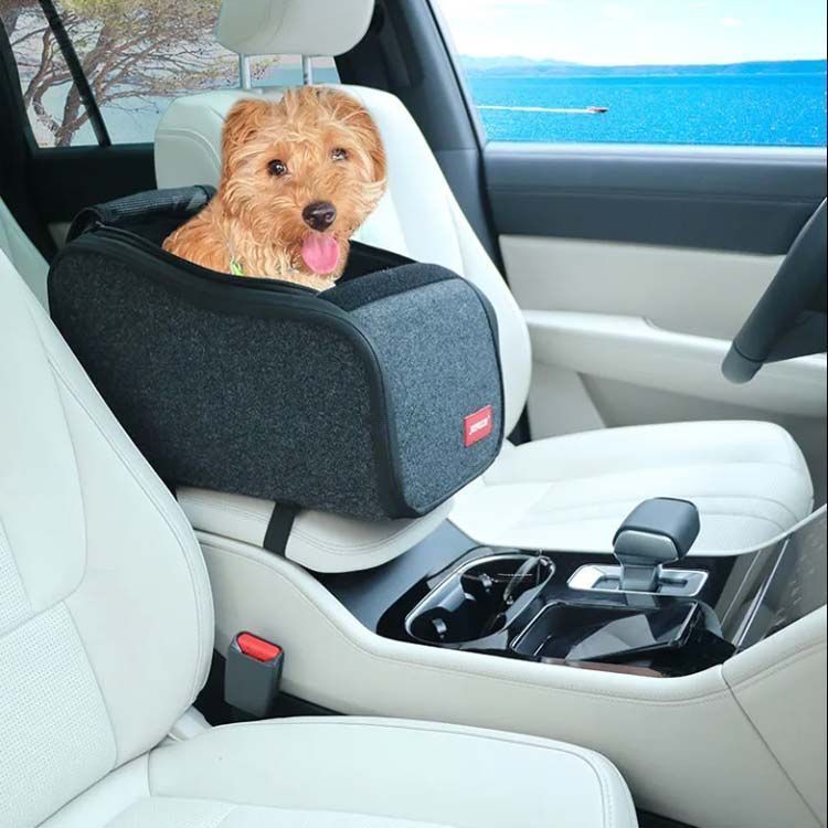 犬ベッド