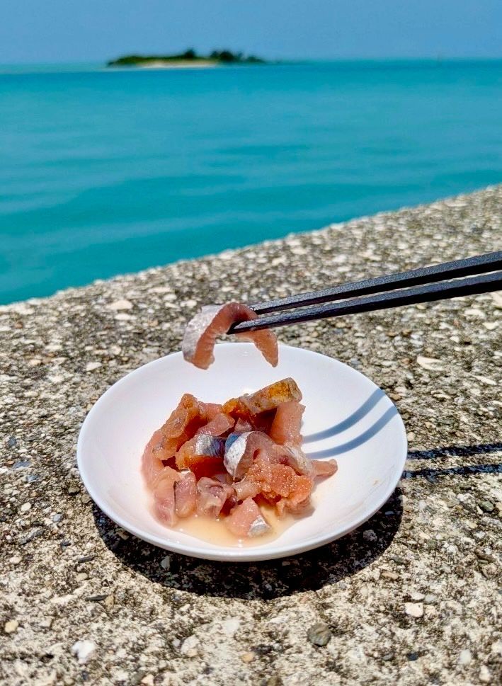 レア品】宮古島かつおの塩辛 300g 幻の味 - メルカリ