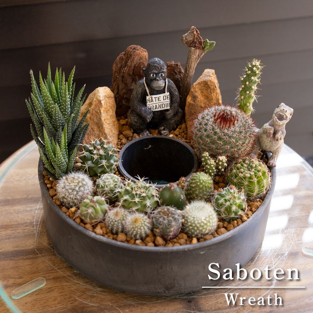 ドライガーデン寄せ植え