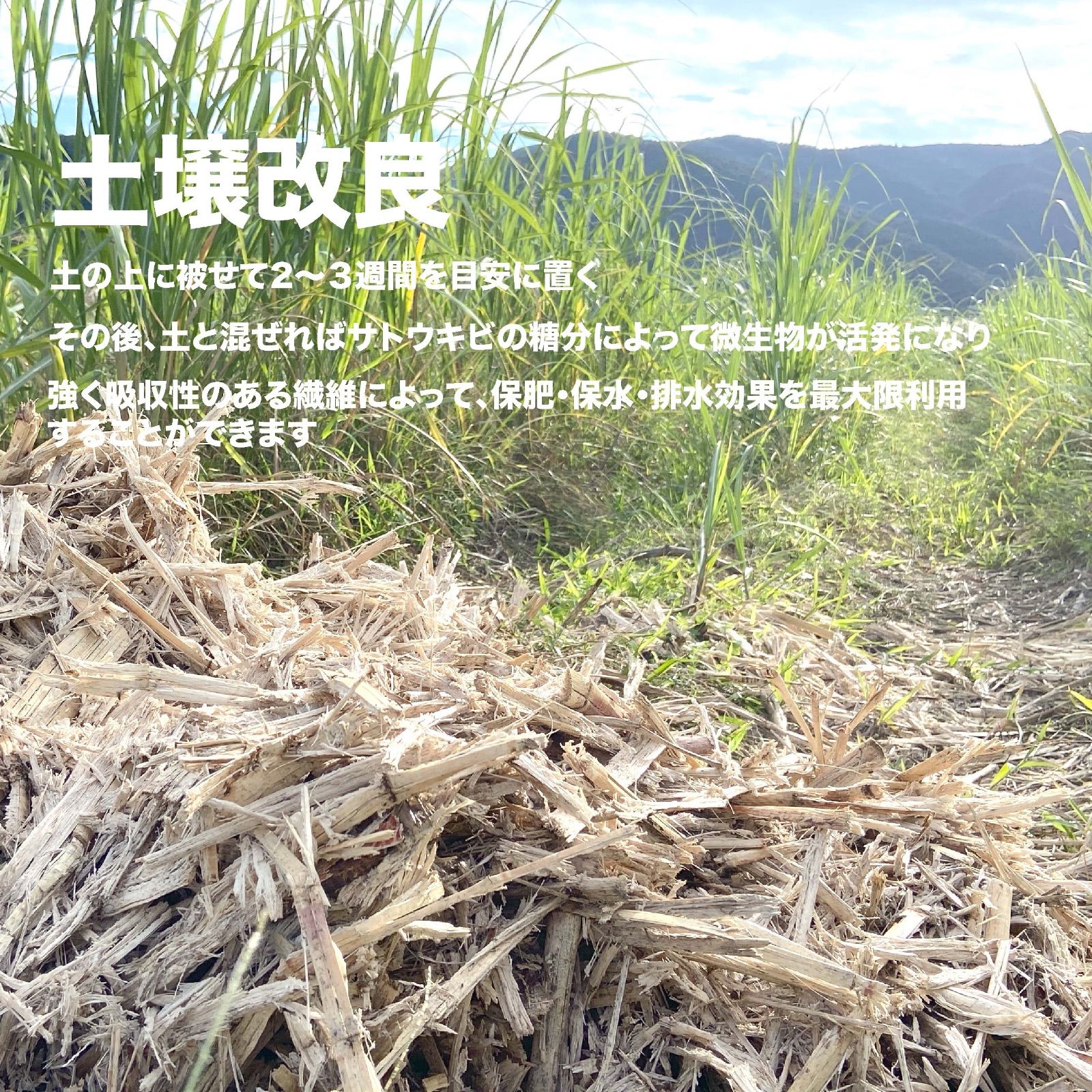 #13【南国の自然資材「乾燥バガス」1kg】サトウキビ農家でも一部の人しか手に入らない自然素材　家庭菜園・園芸・畑・農業用の土壌改良やマルチング&堆肥に　　　草花 ガーデニング雑貨 野菜作り 観葉植物栽培 フルーツ作り ハーブ 園芸雑貨