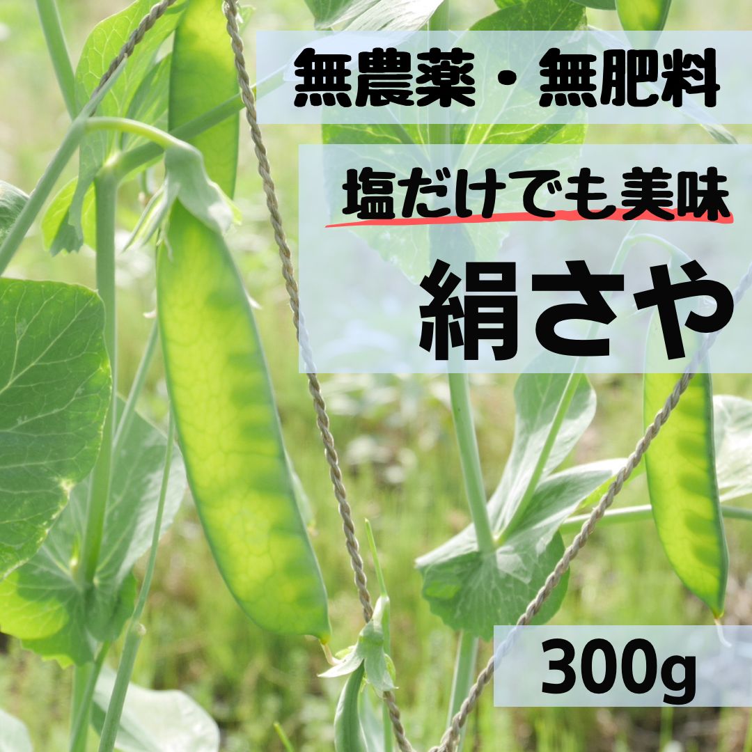 絹さや 300g ふるさと割 - 野菜