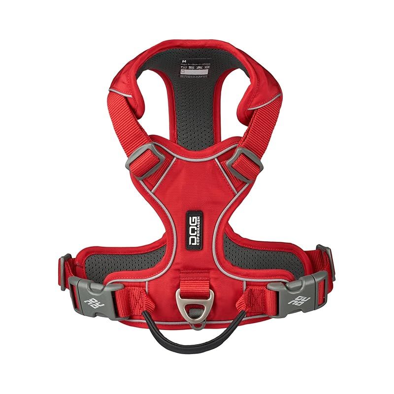 ドッグコペンハーゲン