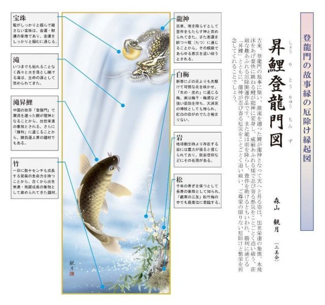 種類1：尺三 掛軸 開運画【昇鯉登竜門図】森山観月 H30D5-066 [代引き