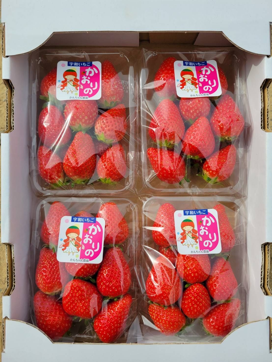 8P入》【クール】愛媛県産新鮮朝採りいちご - メルカリ