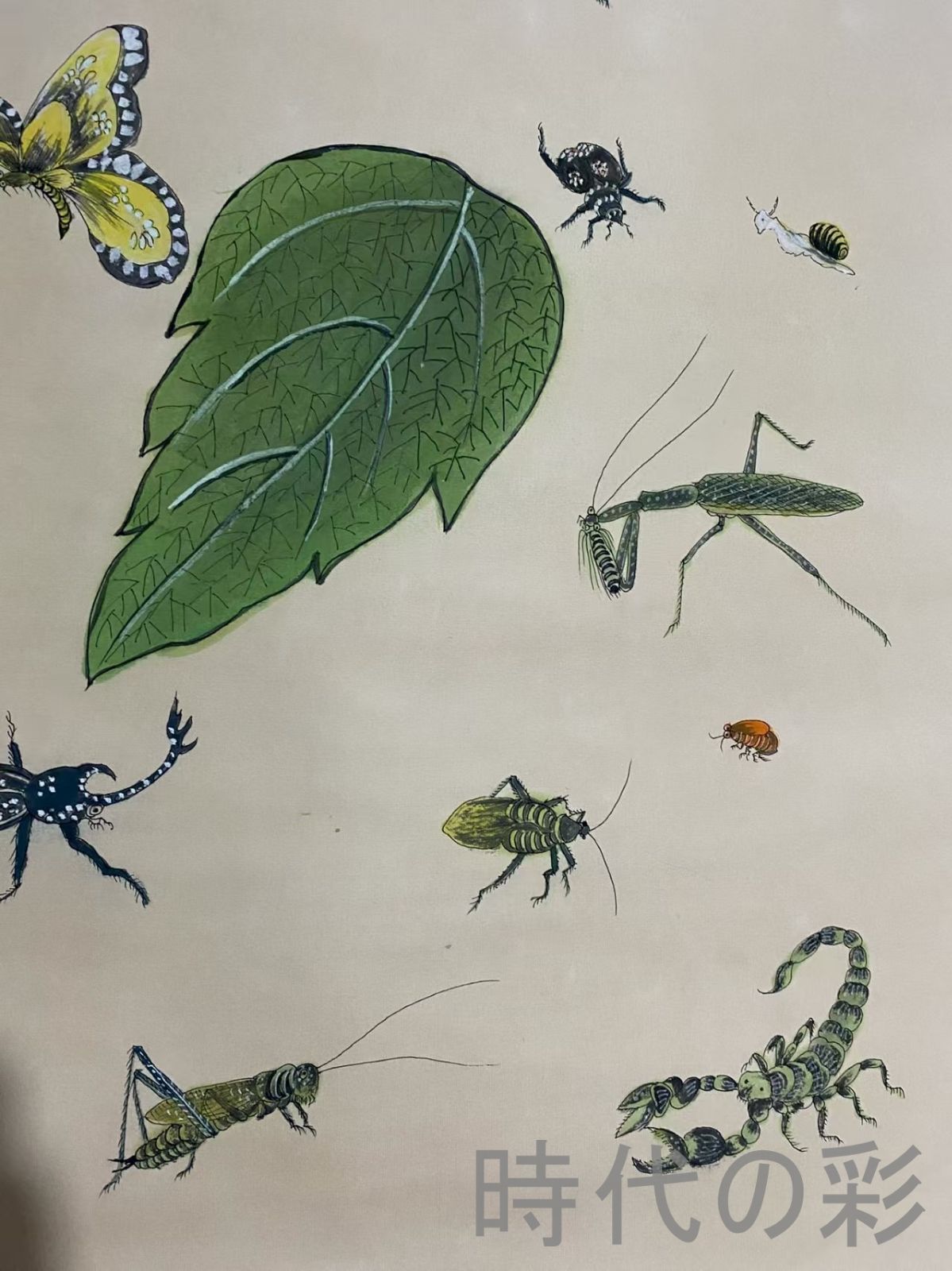 宣紙 四尺中堂画