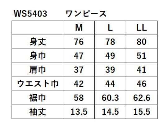 prince プリンス レディース ウィメンズ テニス ワンピース 吸水速乾 UPF50 リサイクル 制電 ソフトメッシュドライ 素材 ホワイト WS5403-146