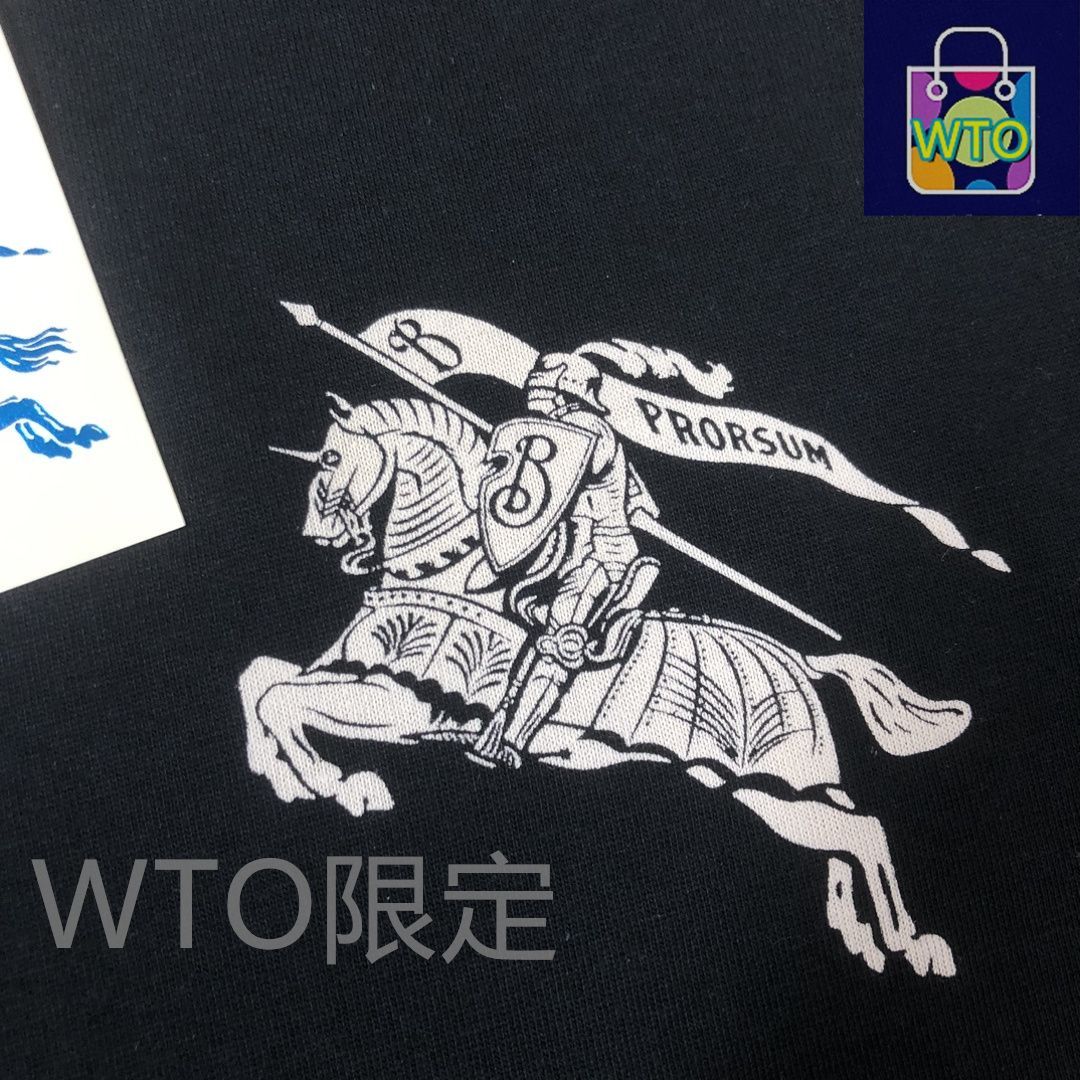 Burberry 23SS ロゴプリント Tシャツ 23SS BURBERRY T-shirt Logo Label | eBay